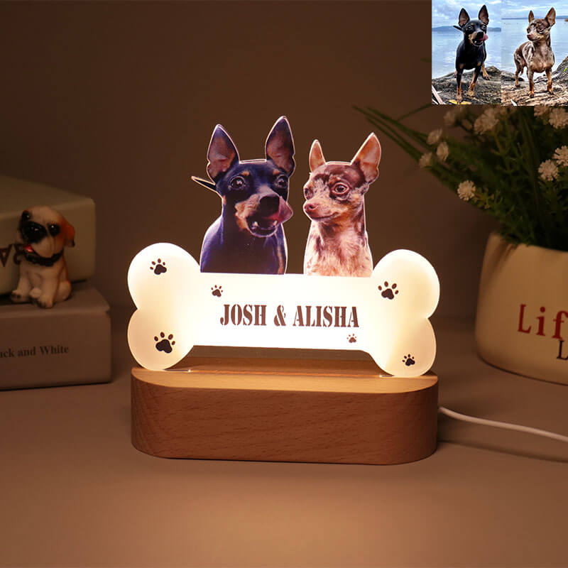 Regalo personalizzato con luce notturna per foto di animali domestici