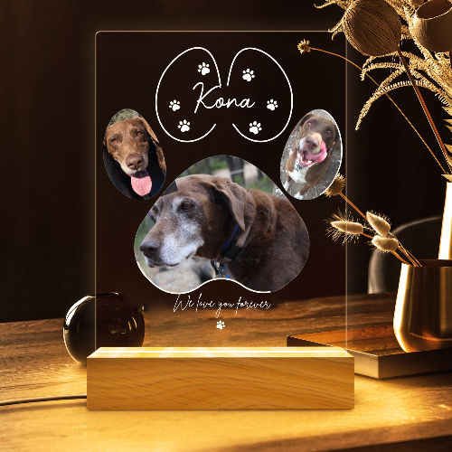 Targa commemorativa per animali domestici con luce notturna personalizzata, cornice commemorativa per animali domestici, regalo per la perdita di cani e gatti