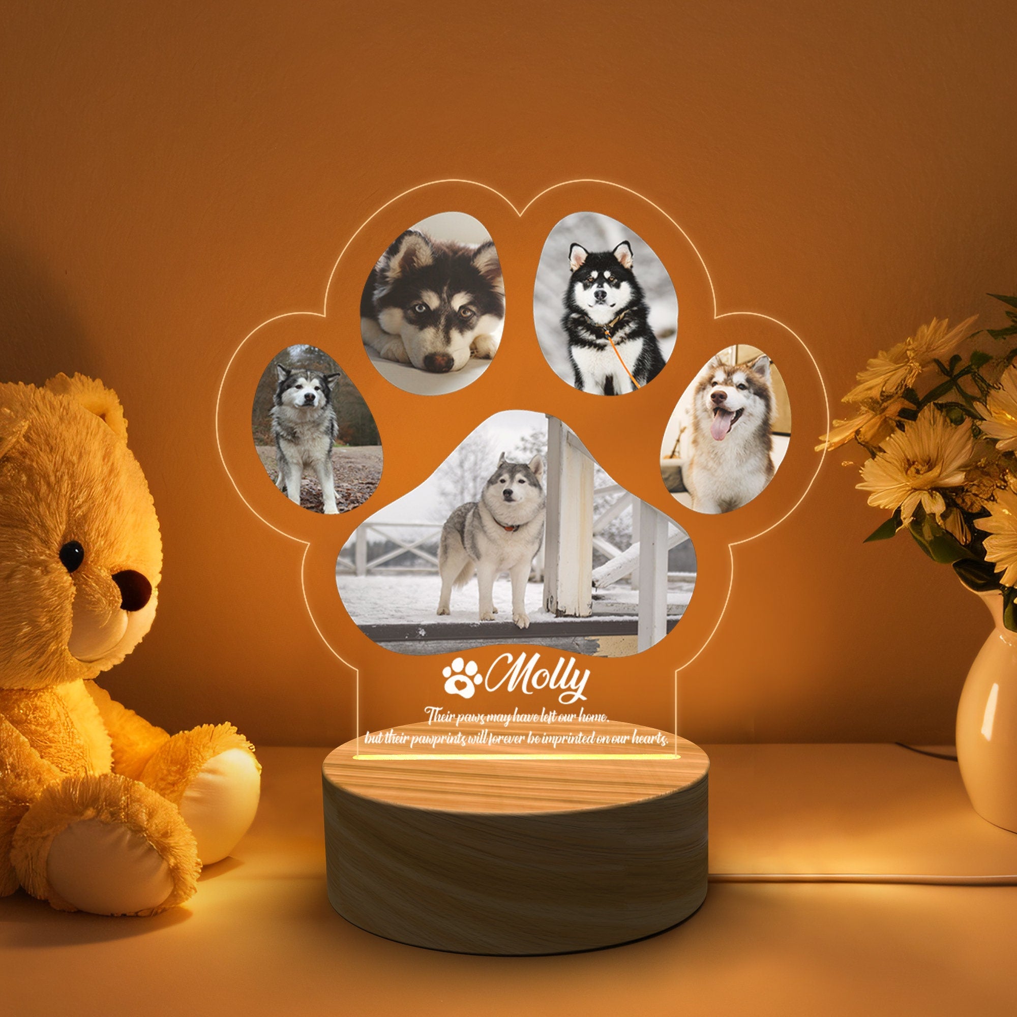 Targa commemorativa per gatti con luce notturna commemorativa personalizzata per animali domestici, ricordo per animali domestici, per cartello commemorativo per cani regalo