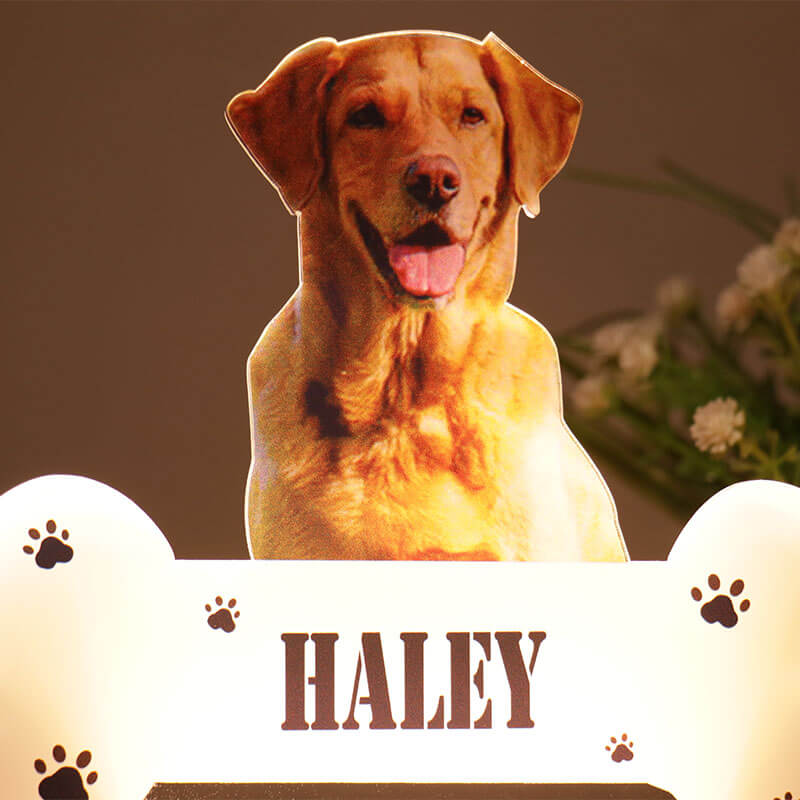 Custom Pet Photo Night Light Gift For Pet