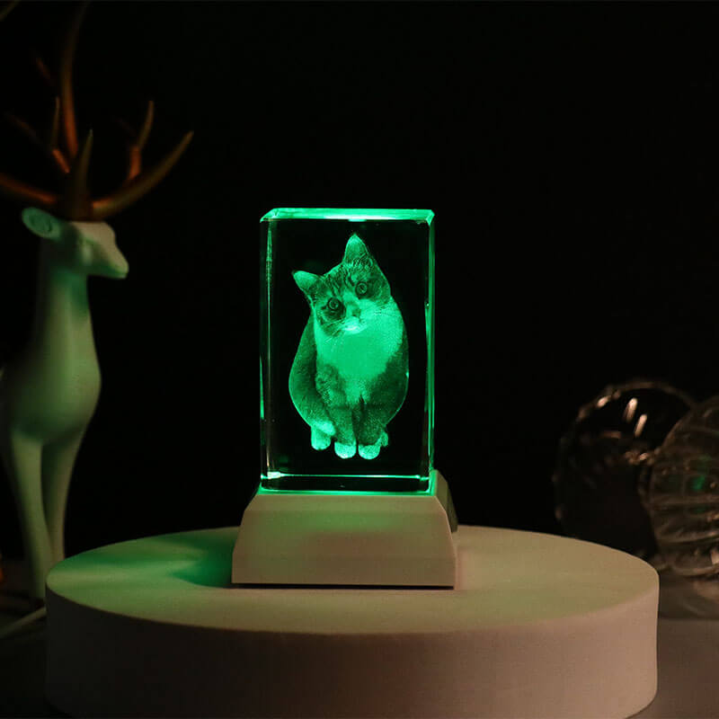 NEONIP-Custom 3d photo crystal lights