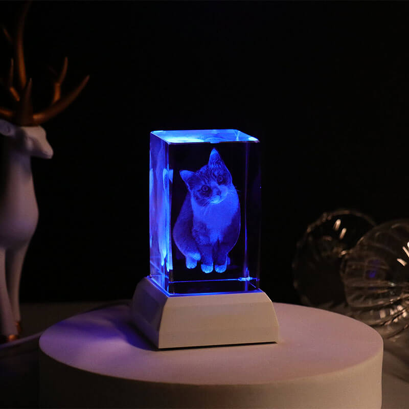 NEONIP-Luci di cristallo fotografiche 3D personalizzate