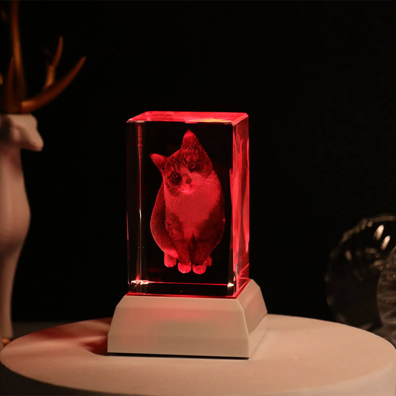 NEONIP-Custom 3d photo crystal lights