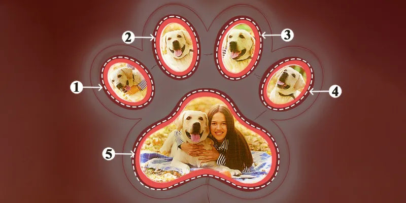 Custom Photo Pet Paw Neon Lamp Personalized Memorial Adjustable Brightness Night Light Gifts For Her