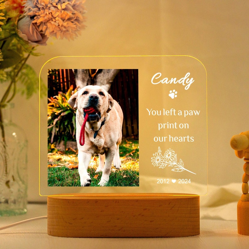 Targa commemorativa per animali domestici con luce notturna personalizzata, cornice commemorativa per animali domestici, regalo per la perdita di cani e gatti