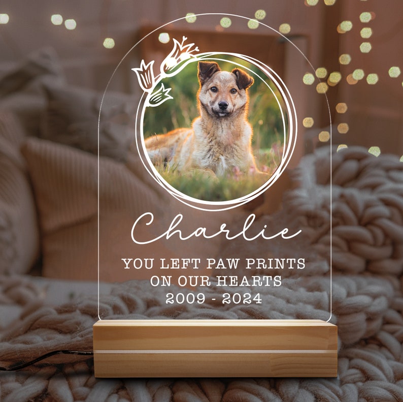 Targa commemorativa per animali domestici con luce notturna personalizzata, cornice commemorativa per animali domestici, regalo per la perdita di cani e gatti