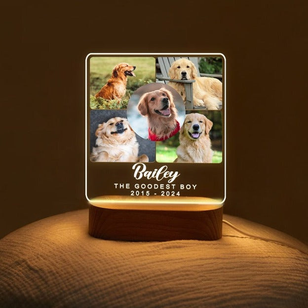 Personalized Gifts for Pet Loss Dog Memorial Cat Memorial Gift Custom Photo Pet Night Light