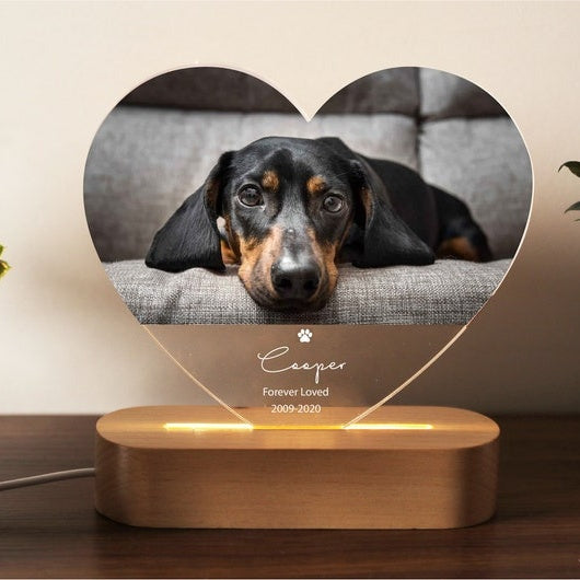 Targa commemorativa per animali domestici con luce notturna personalizzata, cornice commemorativa per animali domestici, regalo per la perdita di cani e gatti