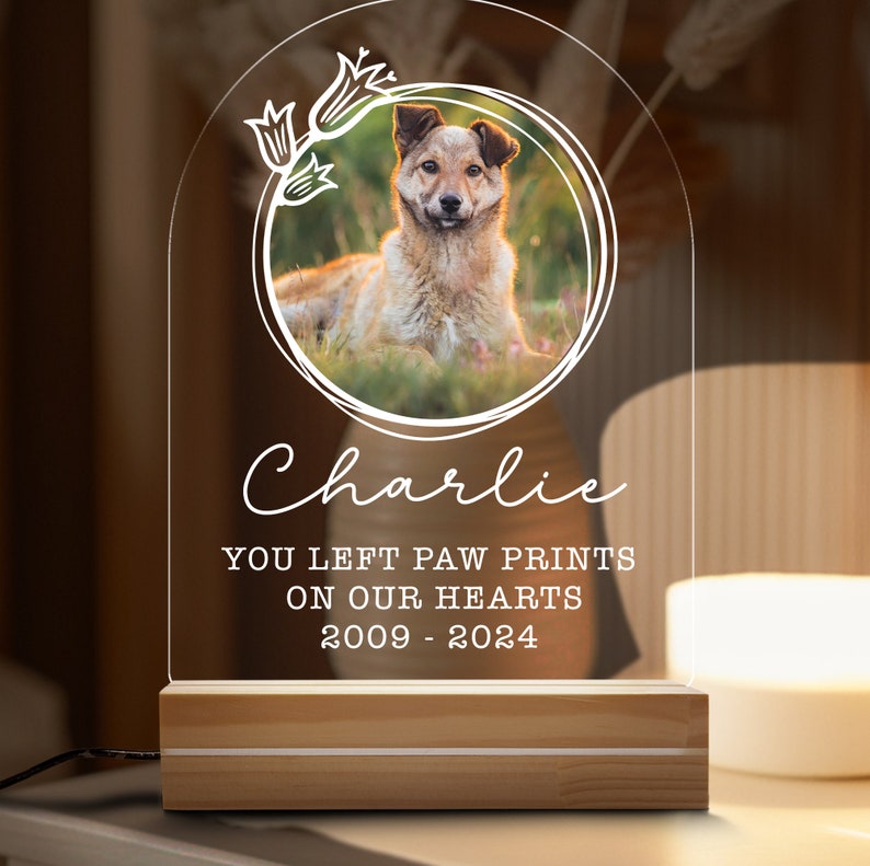 Targa commemorativa per animali domestici con luce notturna personalizzata, cornice commemorativa per animali domestici, regalo per la perdita di cani e gatti