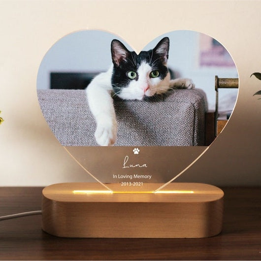 Targa commemorativa per animali domestici con luce notturna personalizzata, cornice commemorativa per animali domestici, regalo per la perdita di cani e gatti