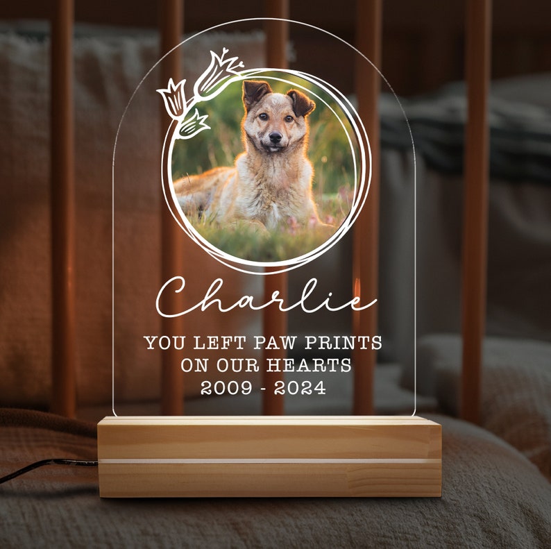 Targa commemorativa per animali domestici con luce notturna personalizzata, cornice commemorativa per animali domestici, regalo per la perdita di cani e gatti