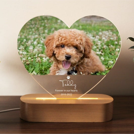 Targa commemorativa per animali domestici con luce notturna personalizzata, cornice commemorativa per animali domestici, regalo per la perdita di cani e gatti