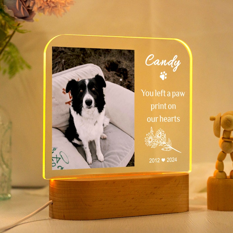 Targa commemorativa per animali domestici con luce notturna personalizzata, cornice commemorativa per animali domestici, regalo per la perdita di cani e gatti