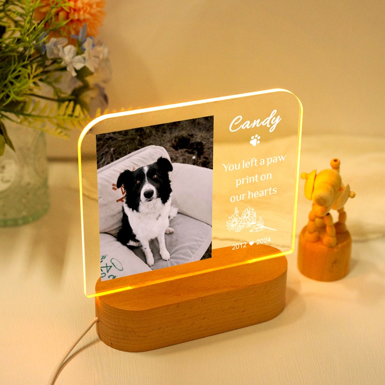 Targa commemorativa per animali domestici con luce notturna personalizzata, cornice commemorativa per animali domestici, regalo per la perdita di cani e gatti