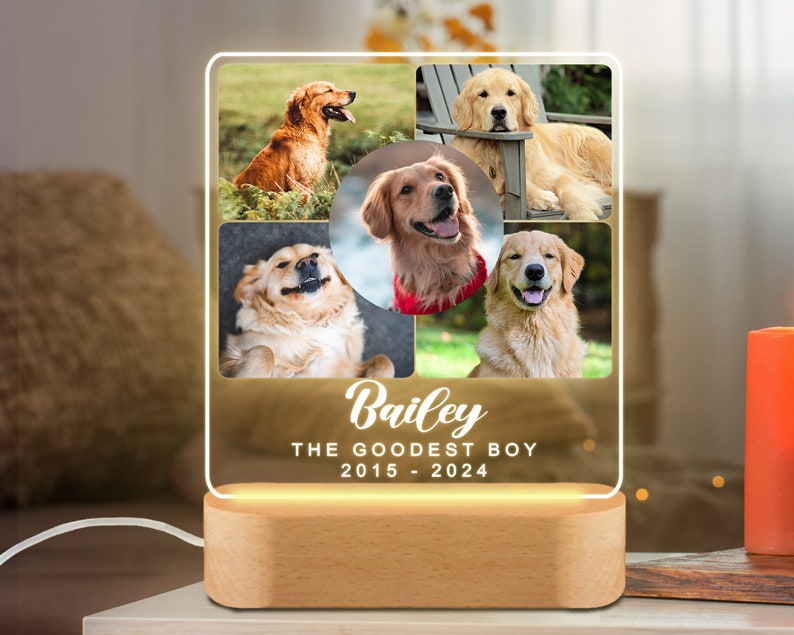 Targa commemorativa per animali domestici con luce notturna personalizzata, cornice commemorativa per animali domestici, regalo per la perdita di cani e gatti