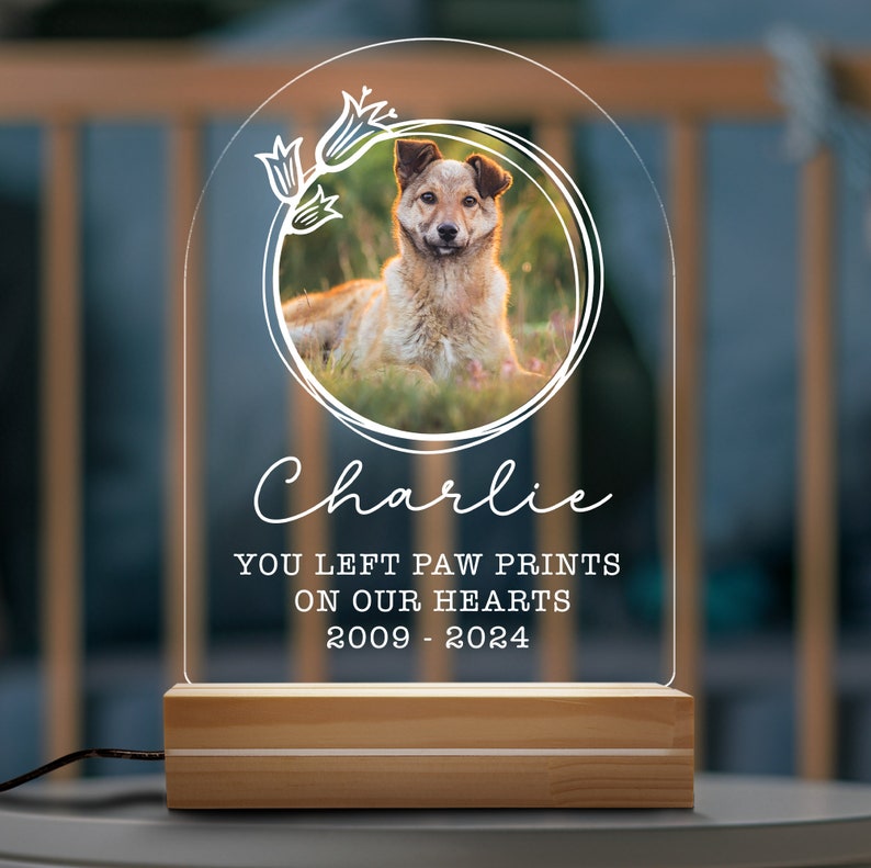 Targa commemorativa per animali domestici con luce notturna personalizzata, cornice commemorativa per animali domestici, regalo per la perdita di cani e gatti