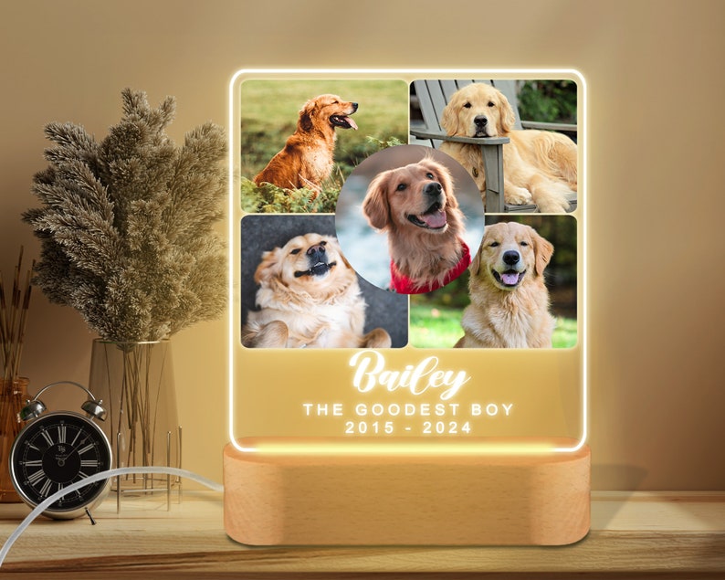 Targa commemorativa per animali domestici con luce notturna personalizzata, cornice commemorativa per animali domestici, regalo per la perdita di cani e gatti