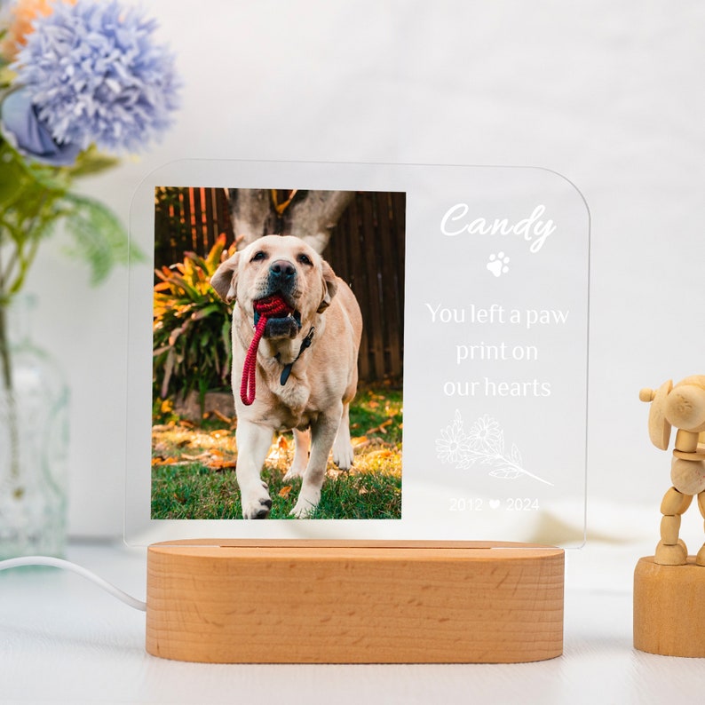 Targa commemorativa per animali domestici con luce notturna personalizzata, cornice commemorativa per animali domestici, regalo per la perdita di cani e gatti