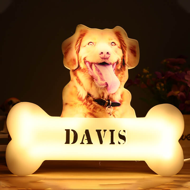 Customized Pet Acrylic Night Light