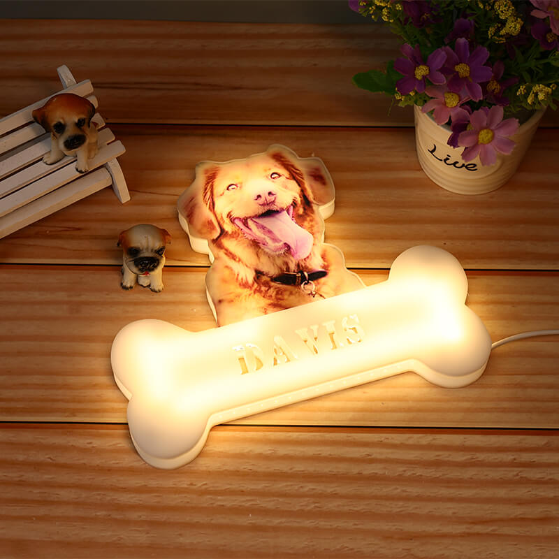 Customized Pet Acrylic Night Light