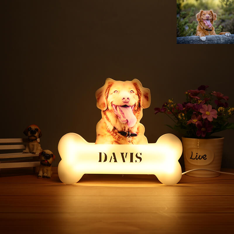 Customized Pet Acrylic Night Light