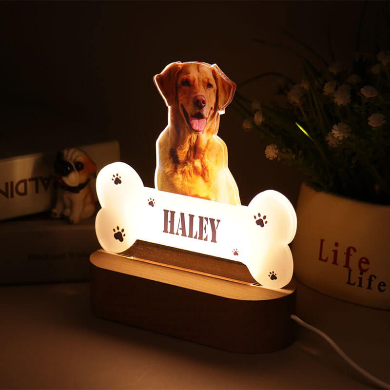 Custom Pet Photo Night Light Gift For Pet