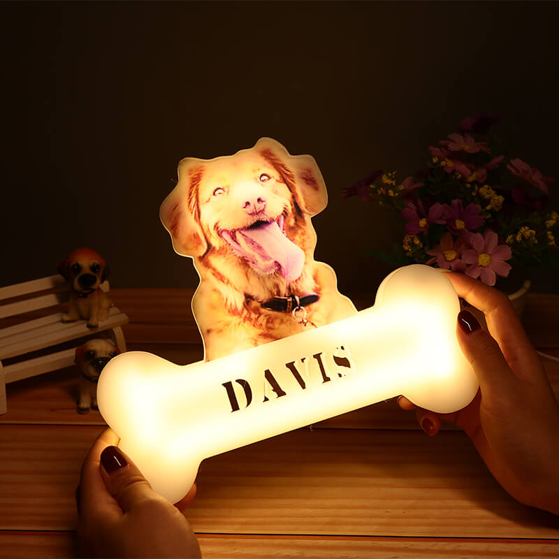 Customized Pet Acrylic Night Light