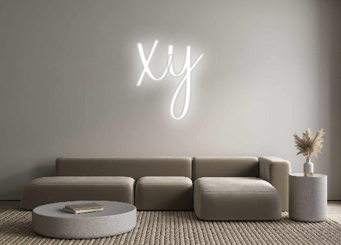 Custom Neon Signs xy