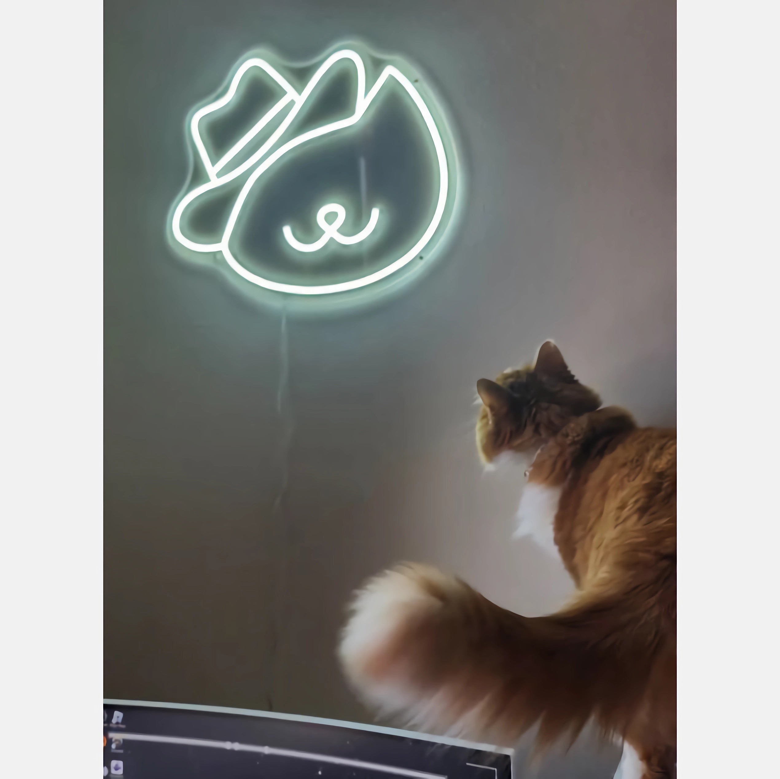 NEONIP-100% Handmade Lovely Cat in A Hat LED Neon Sign