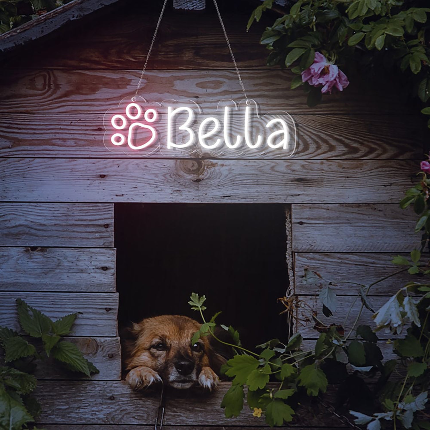 NEONIP-Personalized 100% Handmade Dog Paw LED Neon Sign with Your Pet's Name