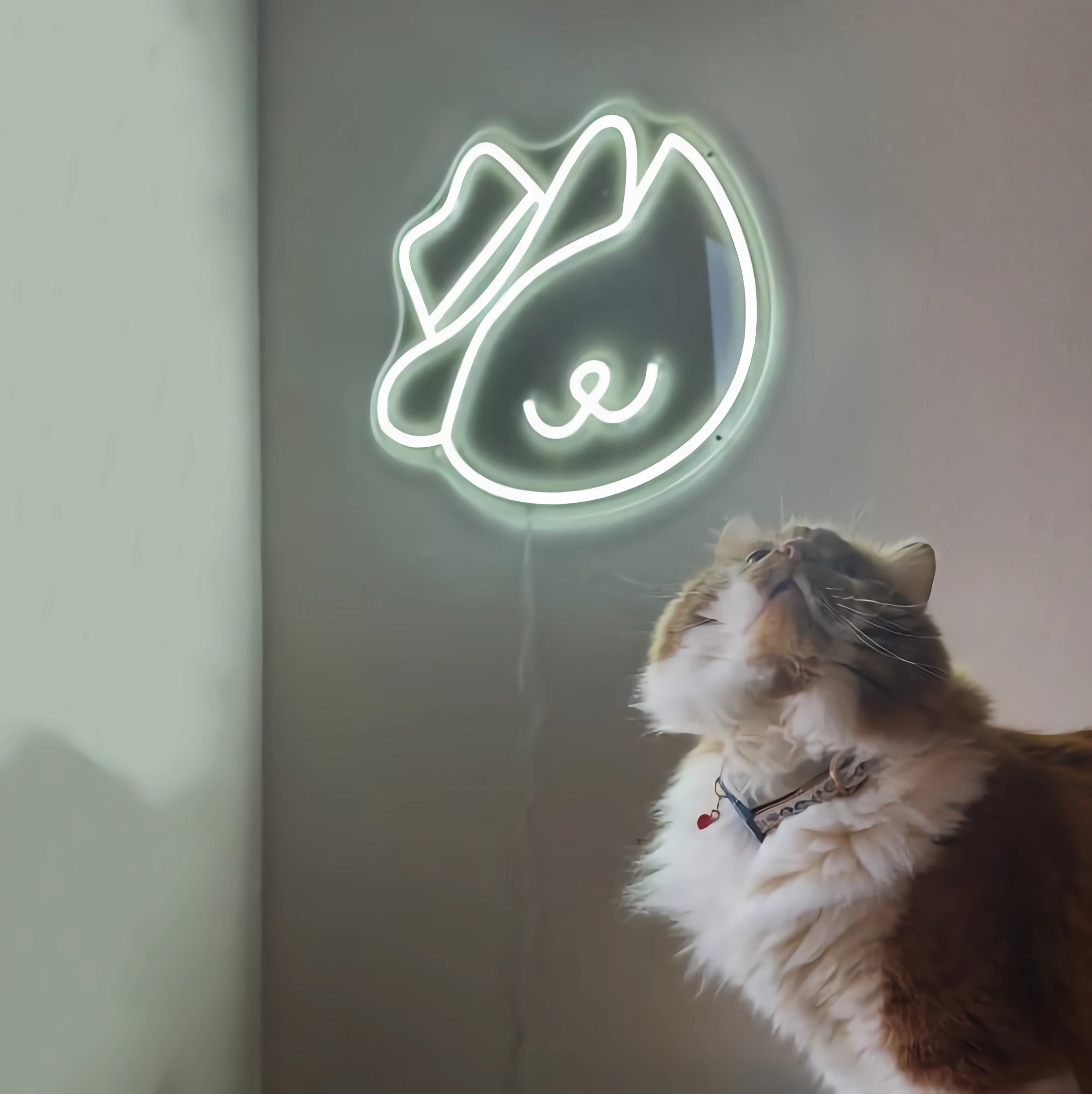 NEONIP-100% Handmade Lovely Cat in A Hat LED Neon Sign