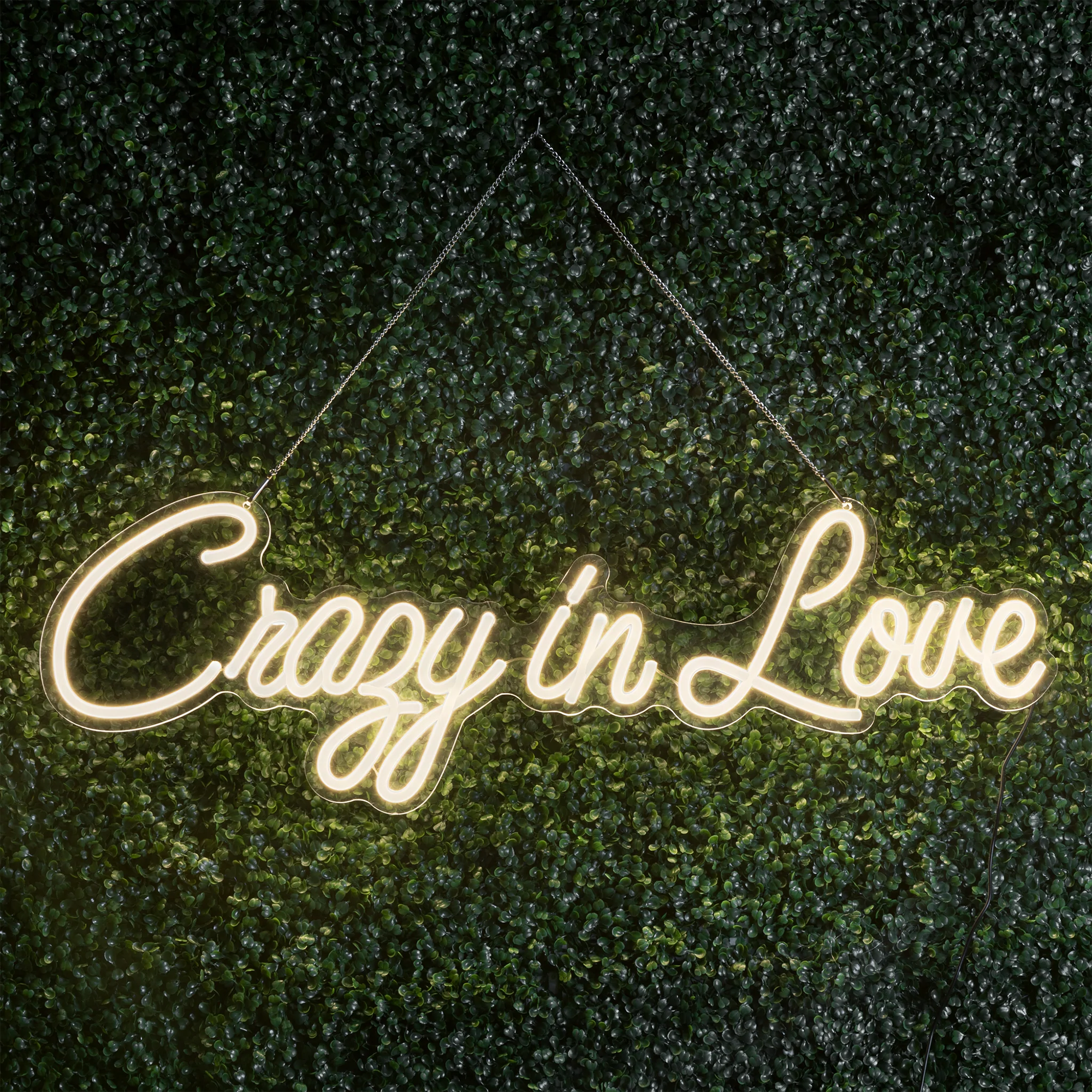 NEONIP-100% Handmade Crazy In Love LED Neon Light Sign