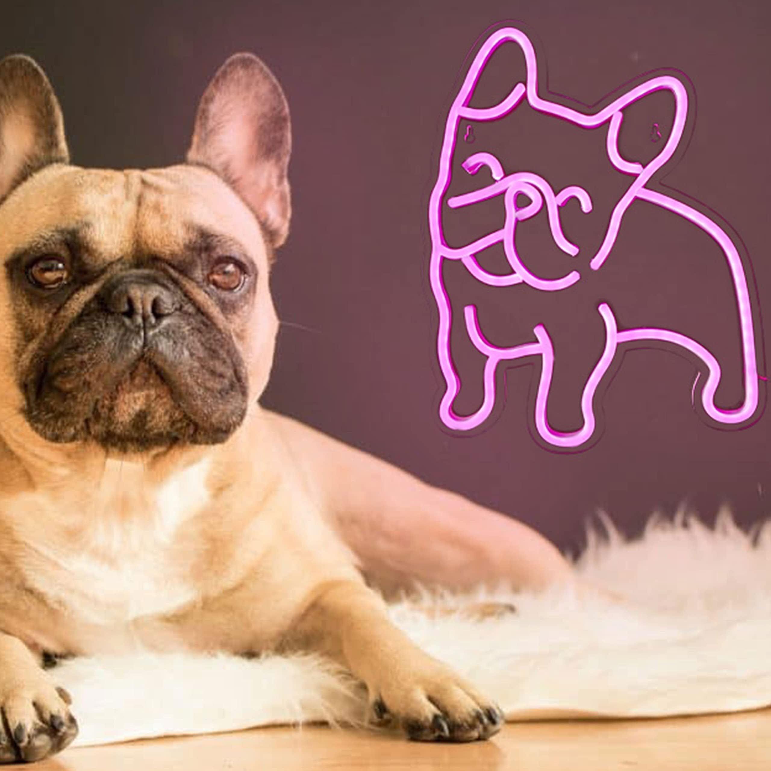 NEONIP 100 Handmade French Bulldog Cute Dog LED Neon Sign